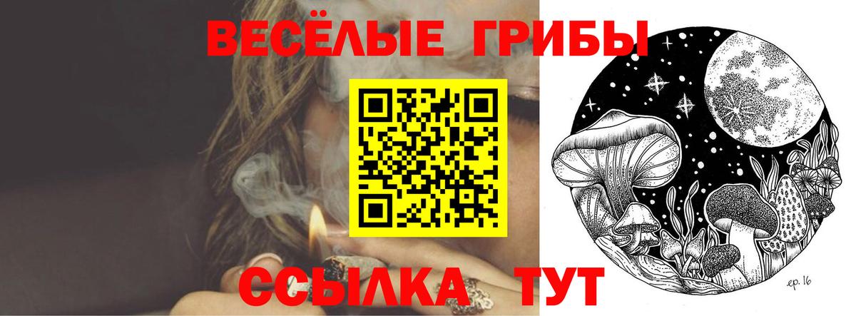 Галлюциногенные грибы Psilocybine cubensis Октябрьский